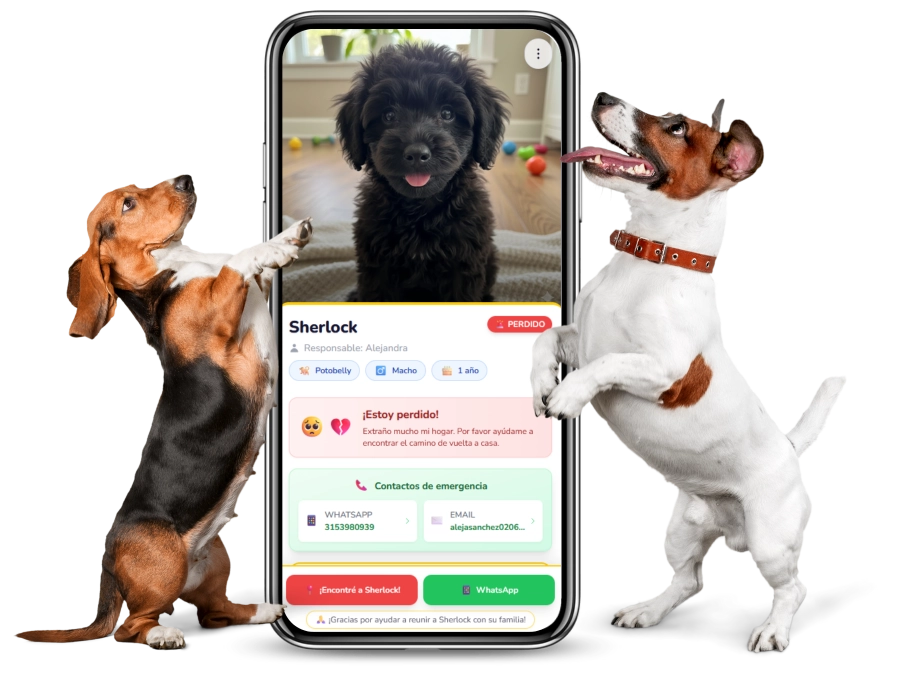 Perritos felices mostrando perfil TweekyPets en celular - Sistema de identificación QR para mascotas